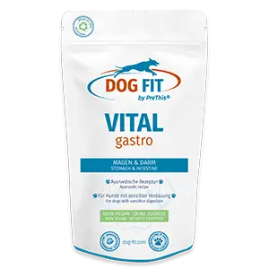 DOG FIT by PreThis VITAL gastro zur Unterstützung der Verdauung beim Hund